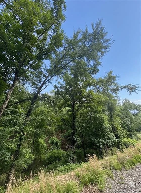 Unit for sale at 132 Western CEDAR Trail, Broken Bow, OK 74728