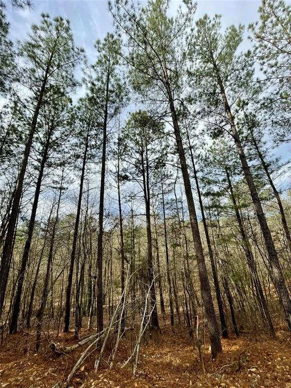 Unit for sale at 737 Timber Creek Trails South XI, Broken Bow, OK 74728
