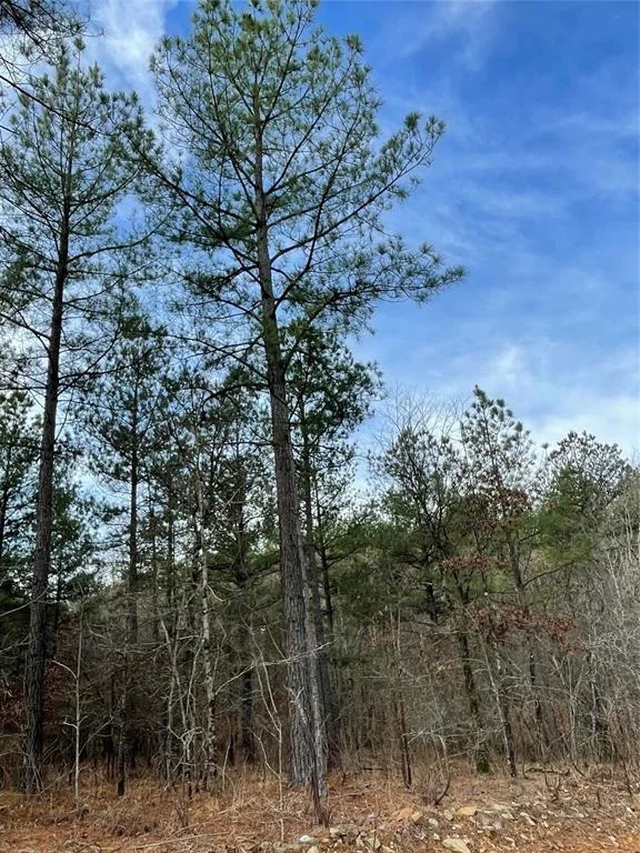 Unit for sale at 721 Timber Creek Trails South XI, Broken Bow, OK 74728