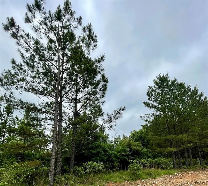 Unit for sale at 672 Timber Creek Trails South XI, Broken Bow, OK 74728
