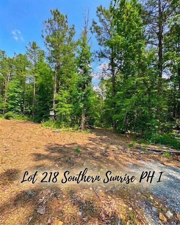Unit for sale at 122 Southern Locust Trail, Broken Bow, OK 74728