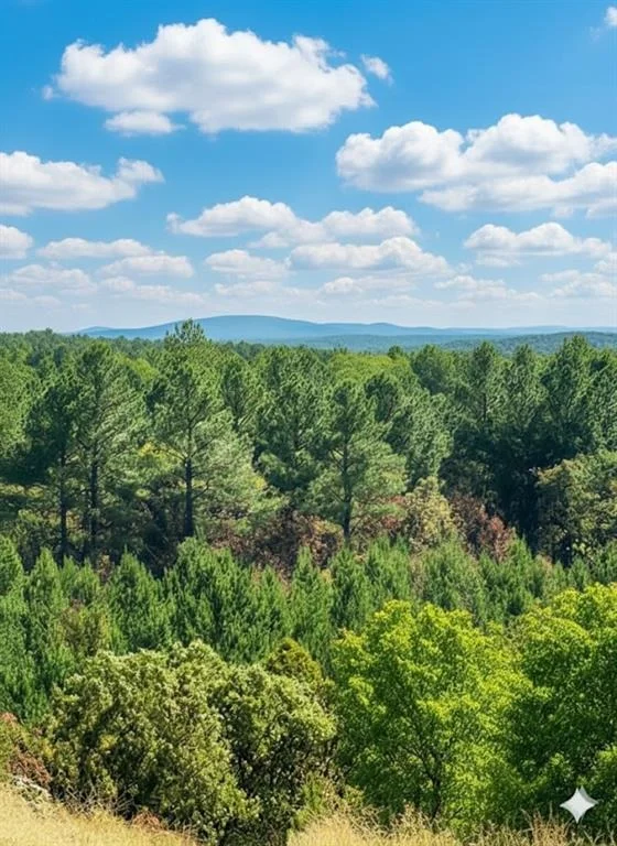 Unit for sale at 20 Charmed Ridge Lane, Broken Bow, OK 74728