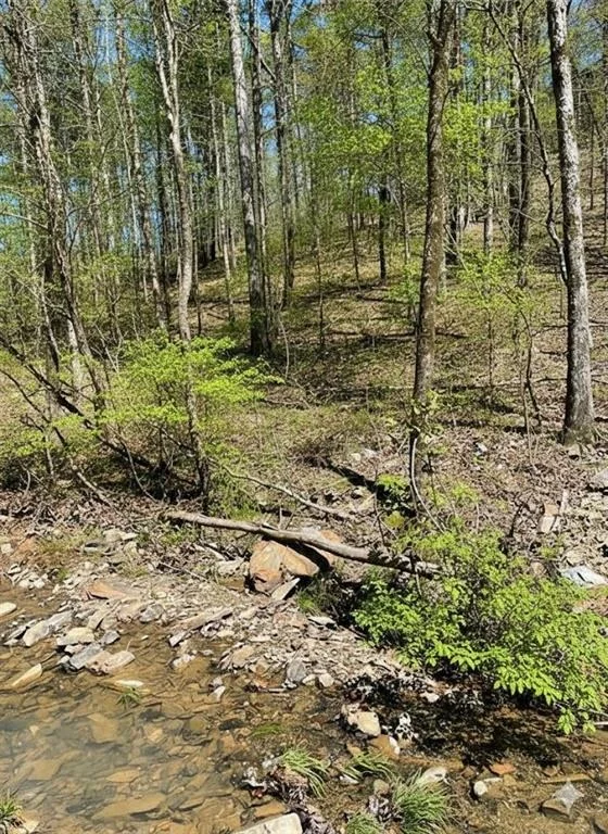 Unit for sale at 158 WESTERN MAPLE Trail, Broken Bow, OK 74728