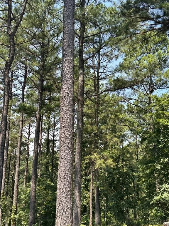 Unit for sale at 202 Crooked Cedar Trail, Broken Bow, OK 74728