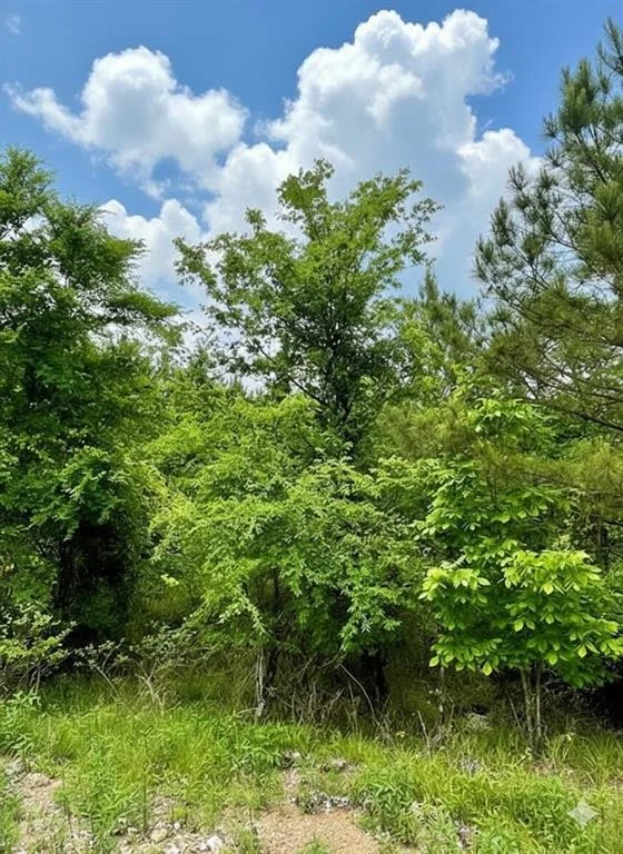 Unit for sale at 665 Timber Creek Trails South XI, Broken Bow, OK 74728