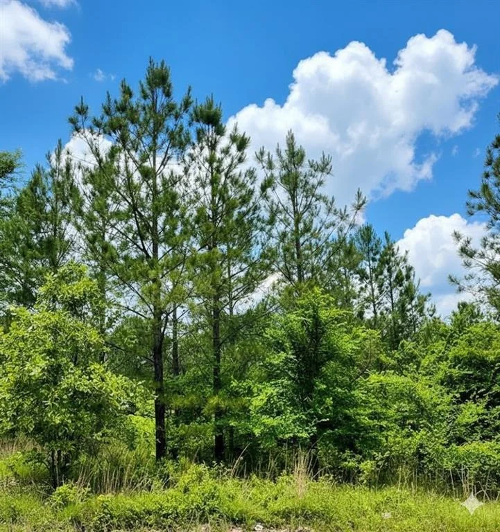 Unit for sale at 669 Timber Creek Trails South XI, Broken Bow, OK 74728
