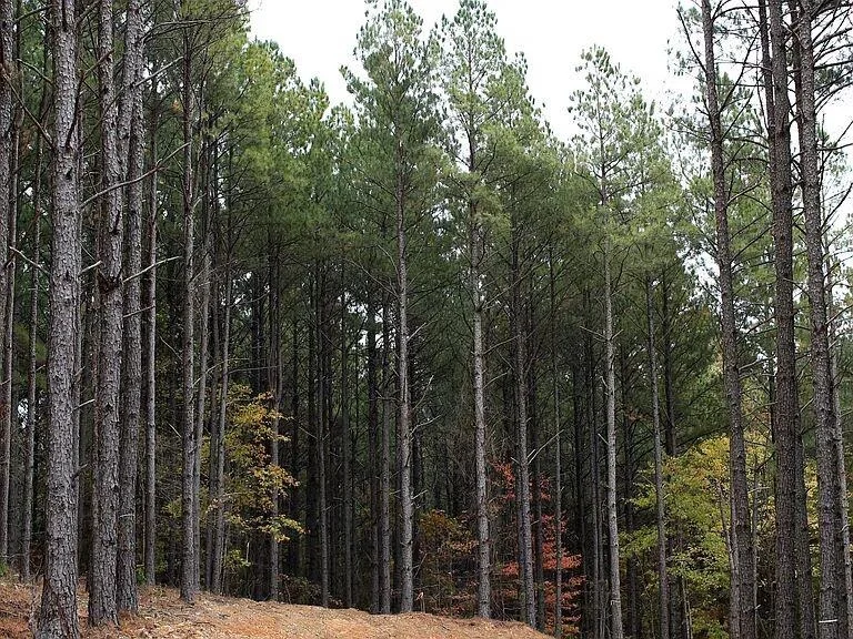 Unit for sale at Pine Ridge Trail, Broken Bow, OK 74728