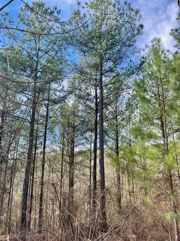 Unit for sale at 764 Timber Creek Trails South XI, Broken Bow, OK 74728