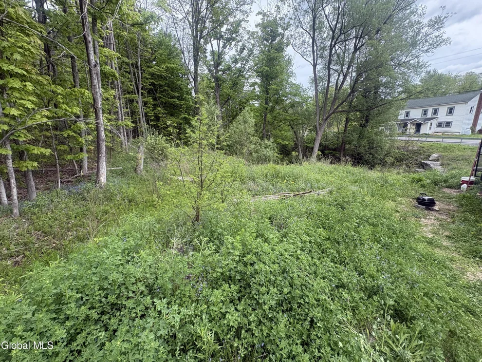 Unit for sale at L 1 Mariaville Road, Duanesburg, NY 12056