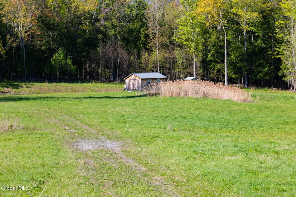 Unit for sale at L21.111 Shenendoah Drive, Carlisle, NY 12160