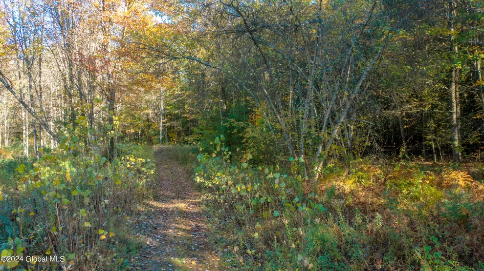 Unit for sale at L122 Dimmick Road, Wilton, NY 12831