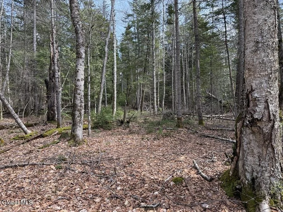 Unit for sale at L34.1 Youngs Road, Schroon, NY 12870
