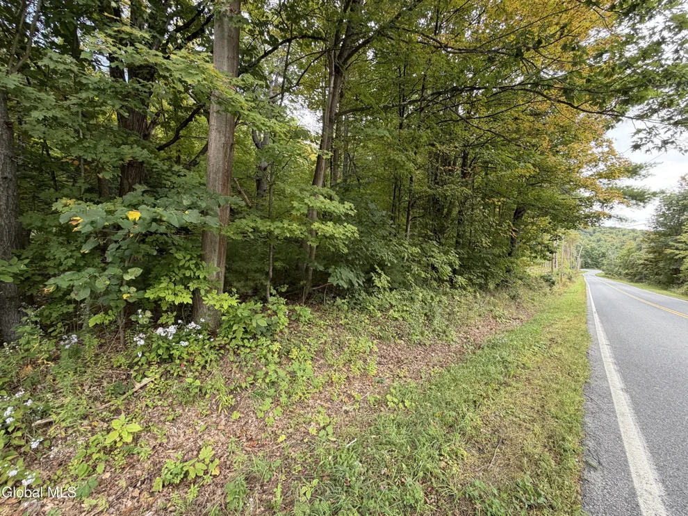 Unit for sale at 1542 Co Rd 21, Whitehall, NY 12887
