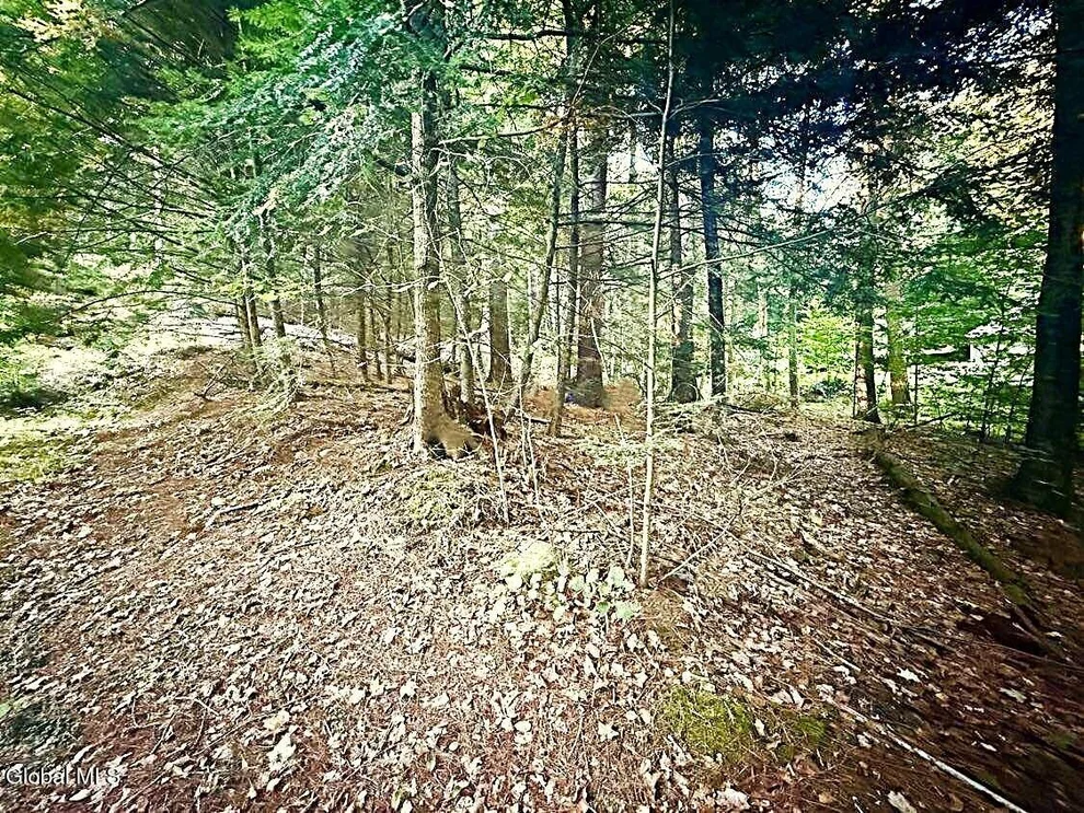 Unit for sale at L31 Clarkson Road, Chester, NY 12817