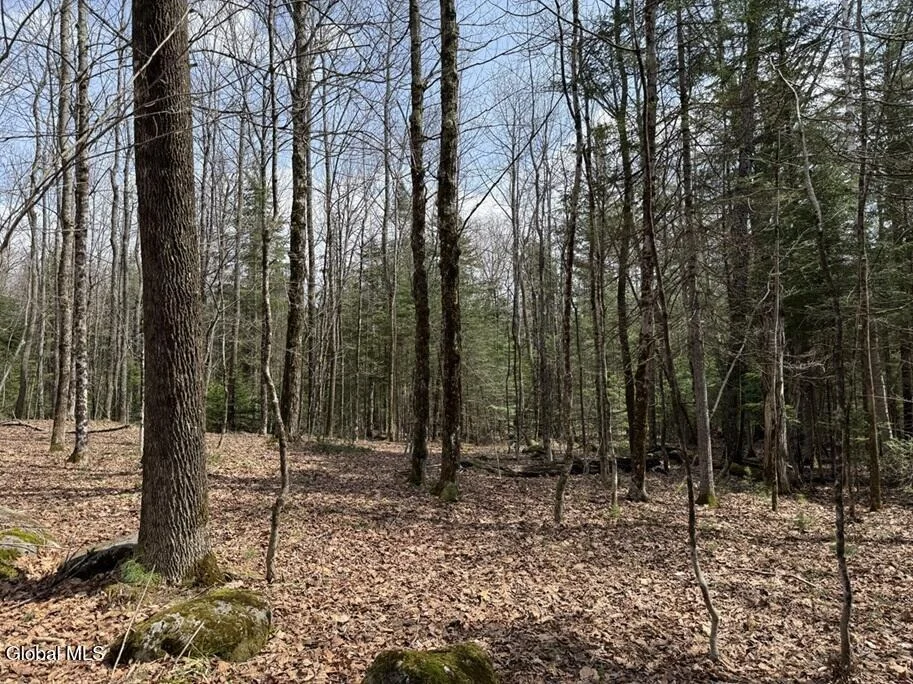 Unit for sale at L34.3 Youngs Road, Schroon, NY 12870