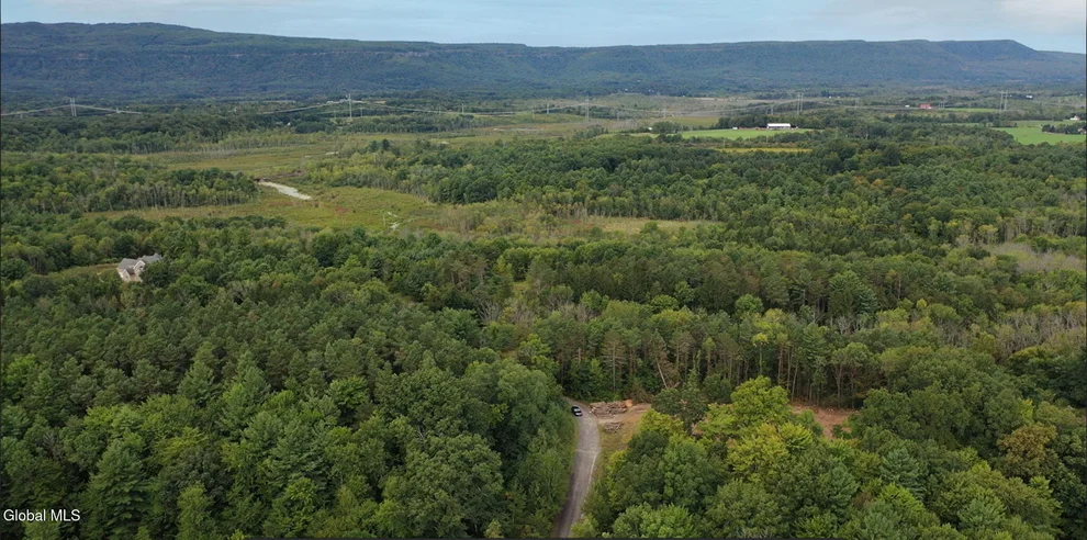 Unit for sale at 4 Jani Lane, Guilderland, NY 12186