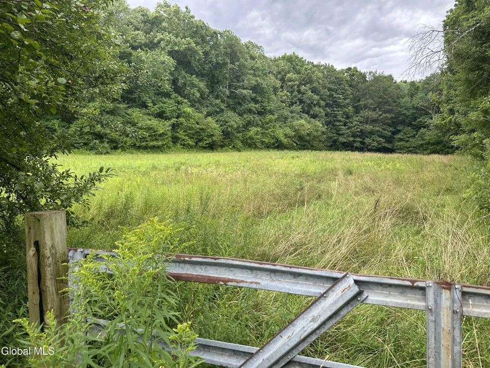 Unit for sale at L 70 Richmond Road, Chatham, NY 12115