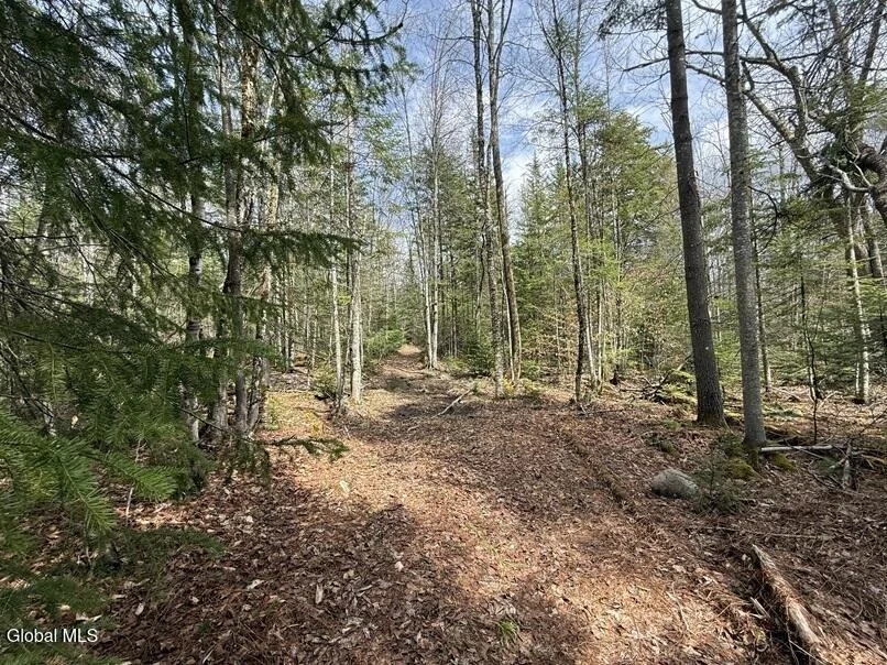 Unit for sale at L34.4 Potash Hill Road, Schroon, NY 12870
