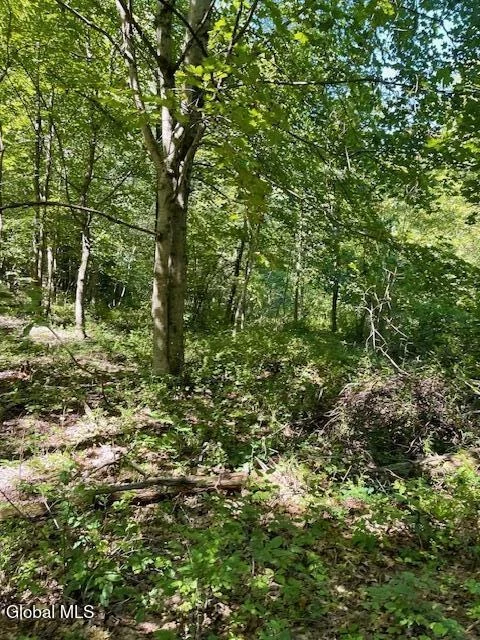 Unit for sale at L35 Off Harring Extension, Cairo, NY 12413