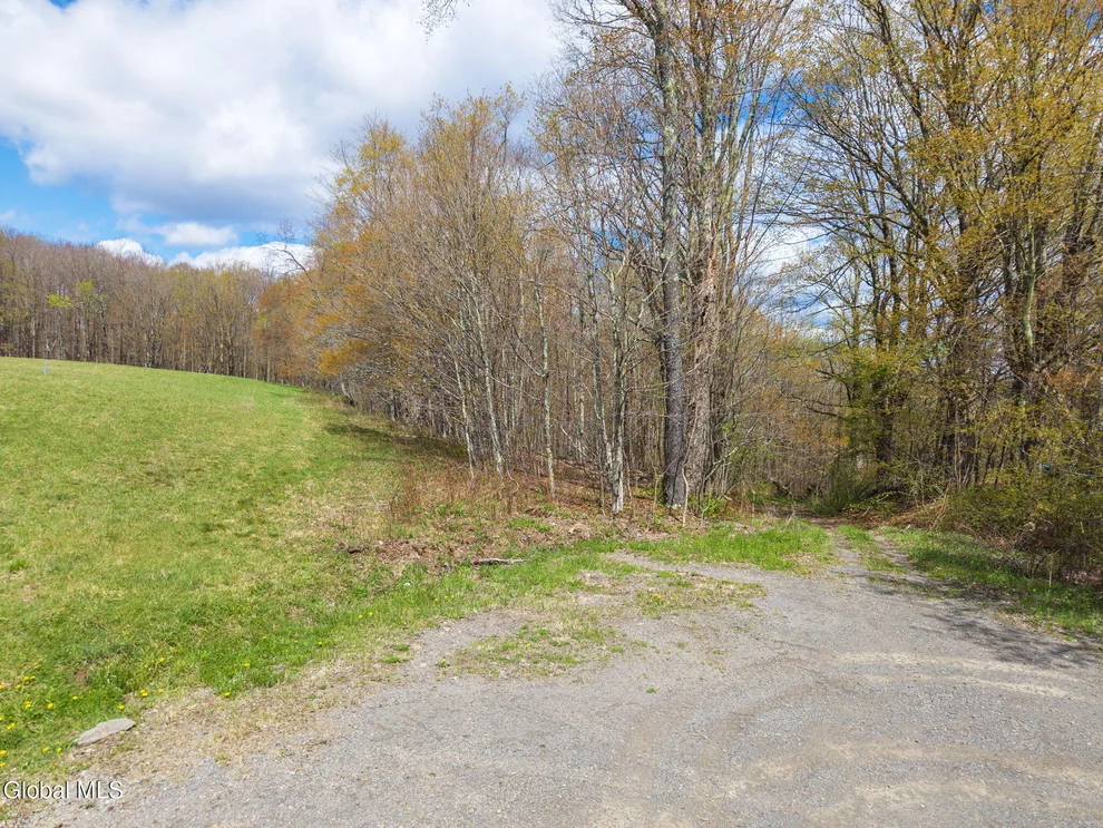 Unit for sale at L25 Fuller District Road, Jefferson, NY 12093
