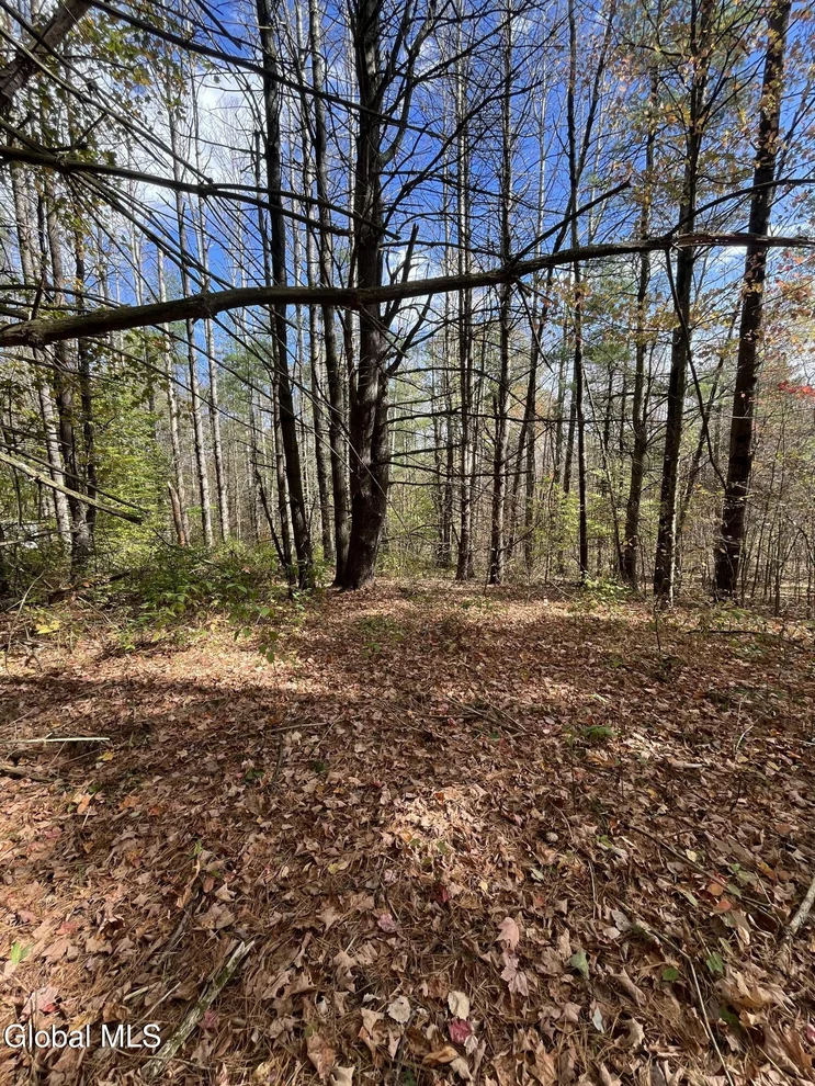 Unit for sale at L5.2 Warner Road, Hebron, NY 12832