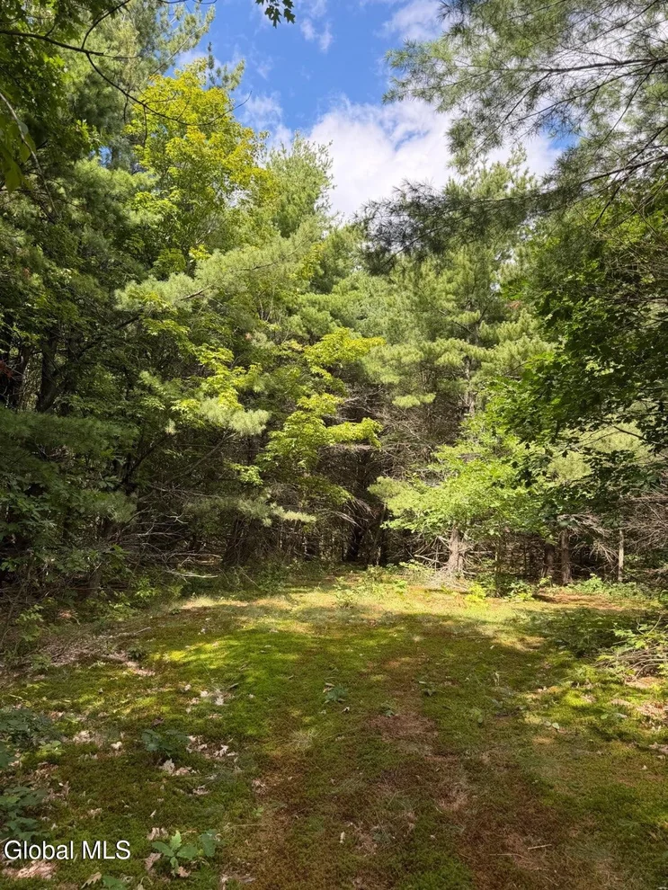 Unit for sale at 218 Irish Hill Road, Berne, NY 12059