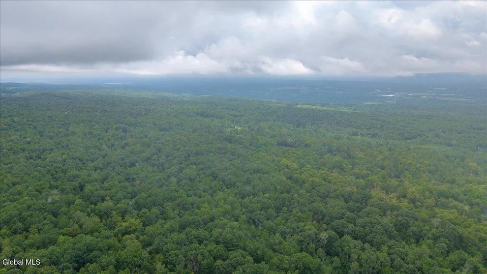 Unit for sale at 181 Liddle Road, Duanesburg, NY 12056