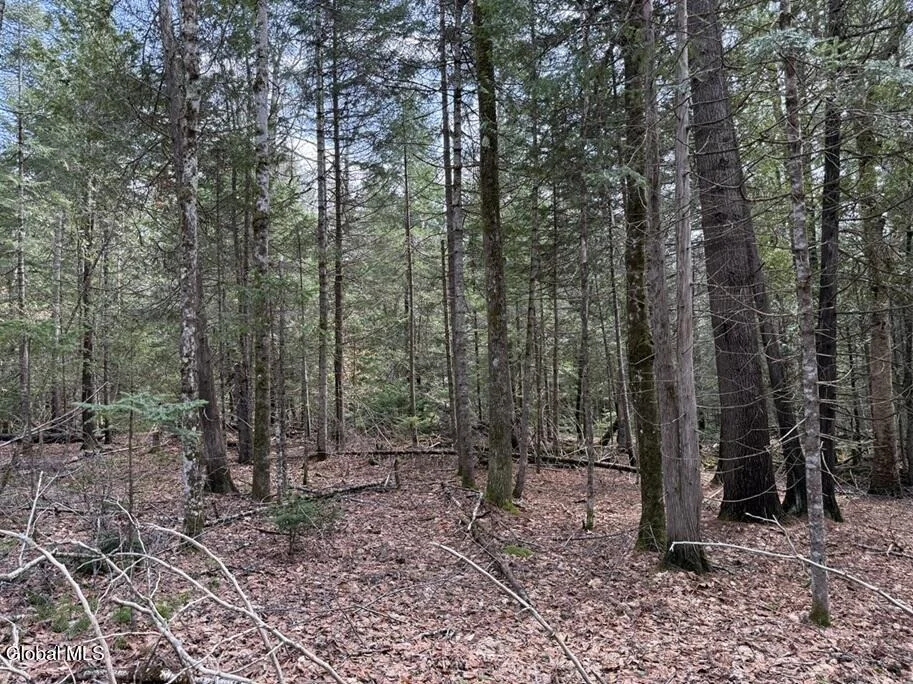 Unit for sale at L34.2 Youngs Road, Schroon, NY 12870