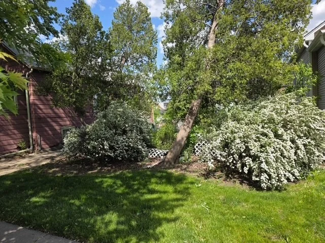 Unit for sale at 5517 N Mont Clare Avenue, Chicago, IL 60656