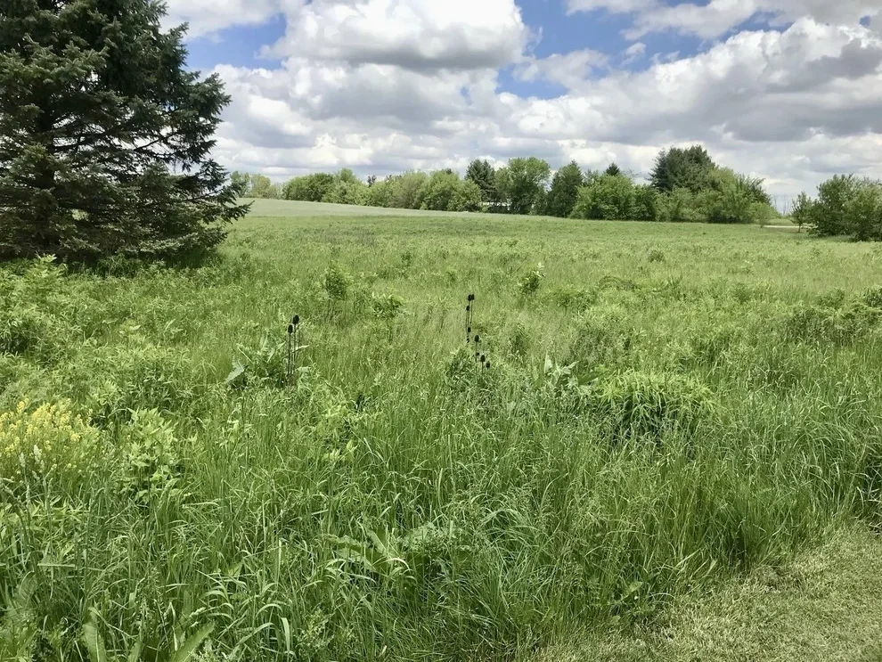 Unit for sale at 0 Lot 2 Ratfield Road, Marengo, IL 60152