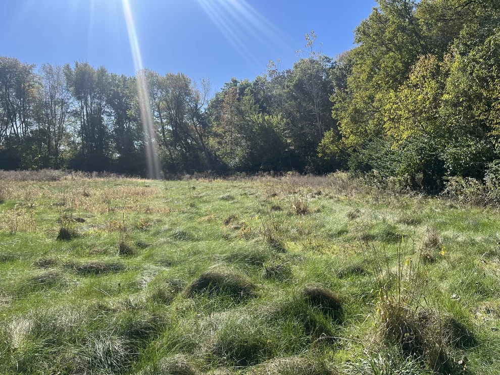 Unit for sale at 211 Norfolk Way, Essex, IL 60935