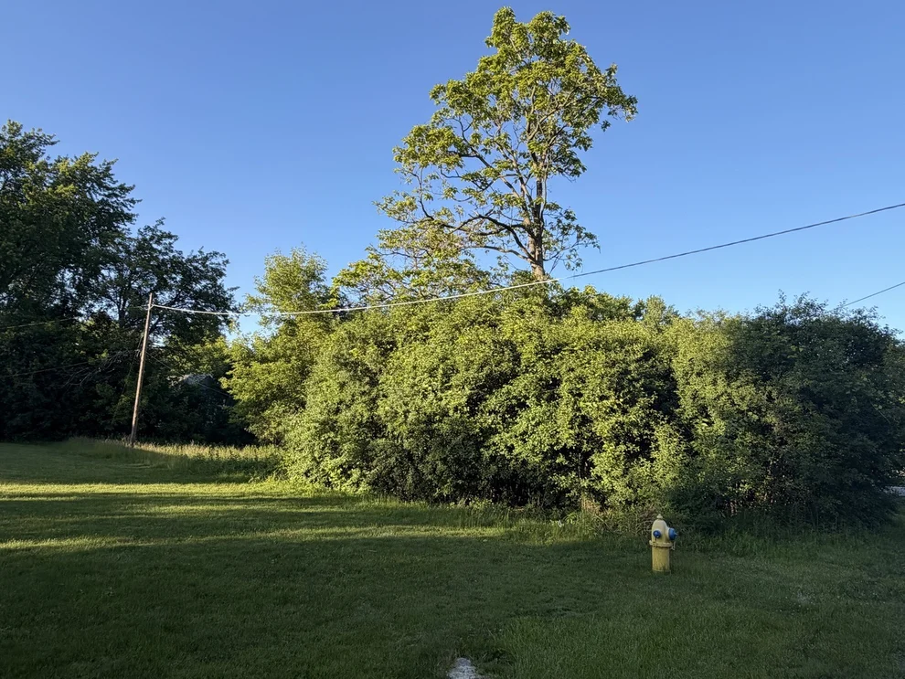 Unit for sale at 911 Safford Avenue, Lake Bluff, IL 60044