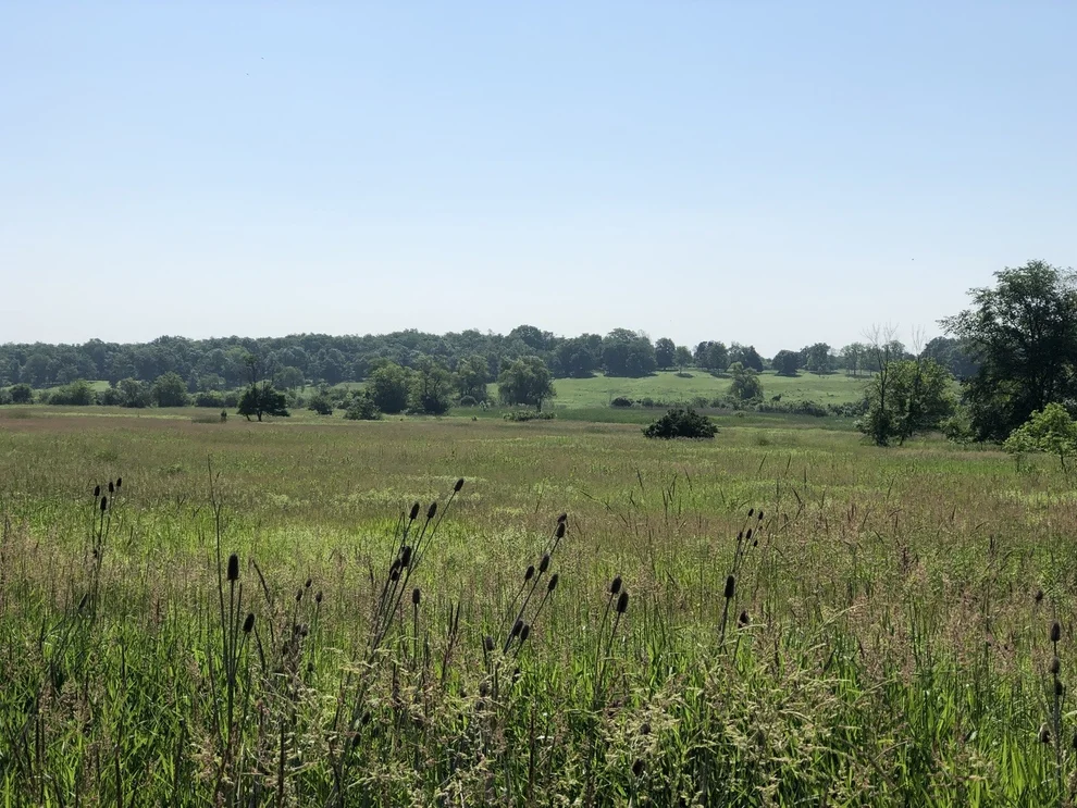 Unit for sale at 600 Berron Lane, Barrington Hills, IL 60010