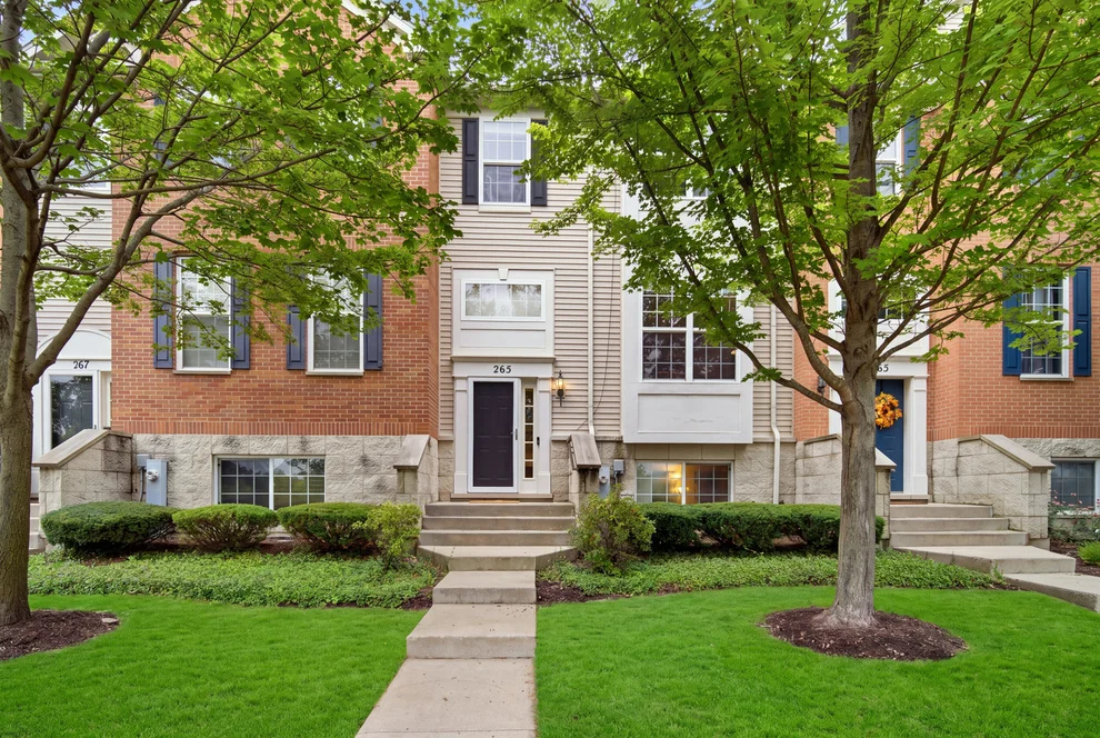 Unit for sale at 265 Jackson Street, Gilberts, IL 60136