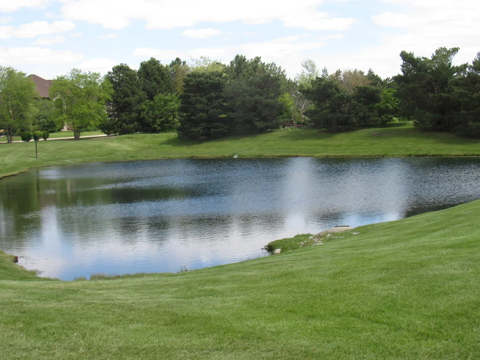 Unit for sale at 22276 Elise Boulevard, Frankfort, IL 60423