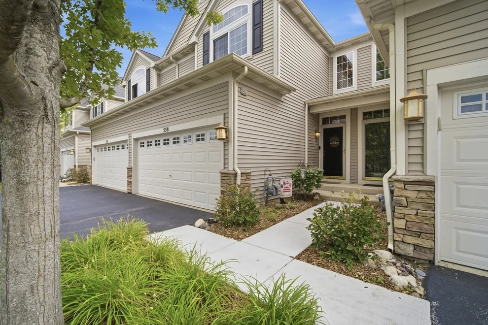Unit for sale at 558 Telluride Drive, Gilberts, IL 60136