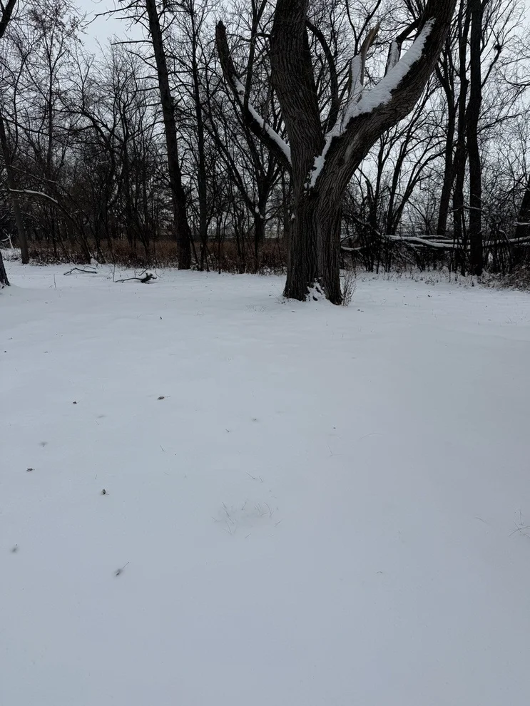 Unit for sale at 19611 Crawford Avenue, Flossmoor, IL 60422
