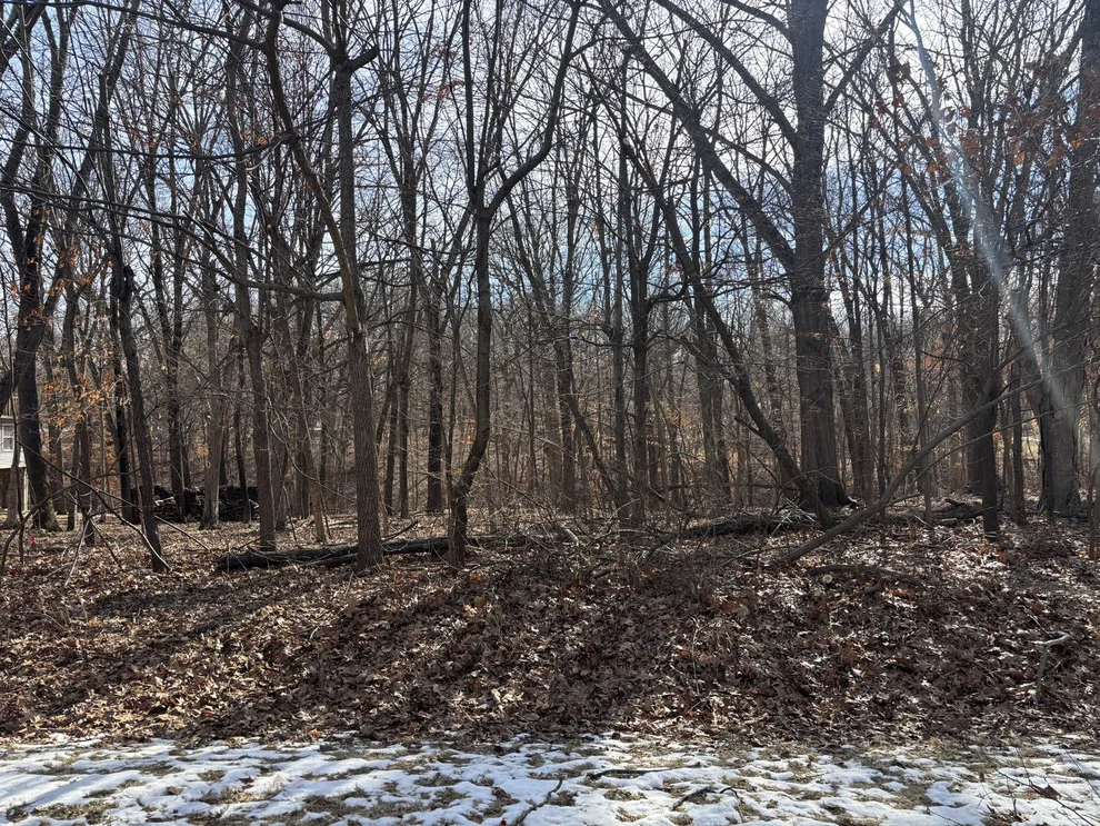 Unit for sale at 374 Bonnie Court, Varna, IL 61375
