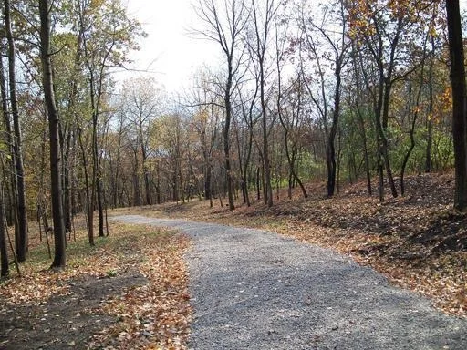 Unit for sale at Lot #6 Thirty Foot Trail Road, Oglesby, IL 61348