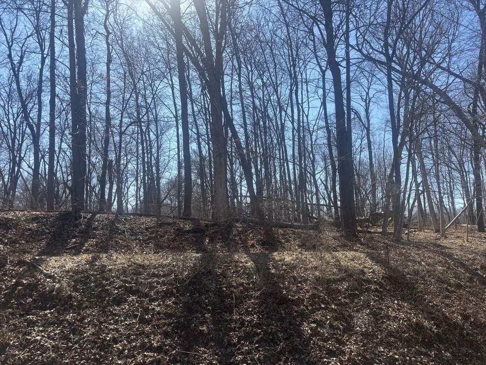 Unit for sale at 839 Lake Wildwood Drive, Varna, IL 61375