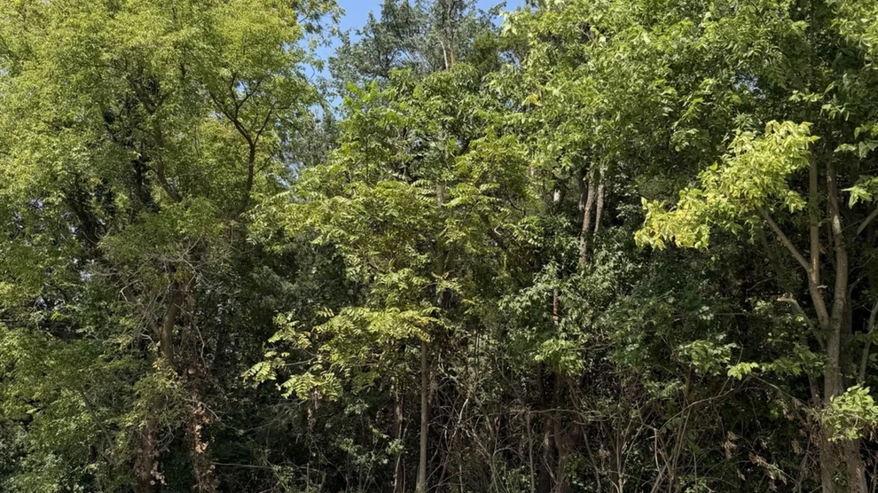 Unit for sale at 00 W Bauer Road, Custer Park, IL 60481
