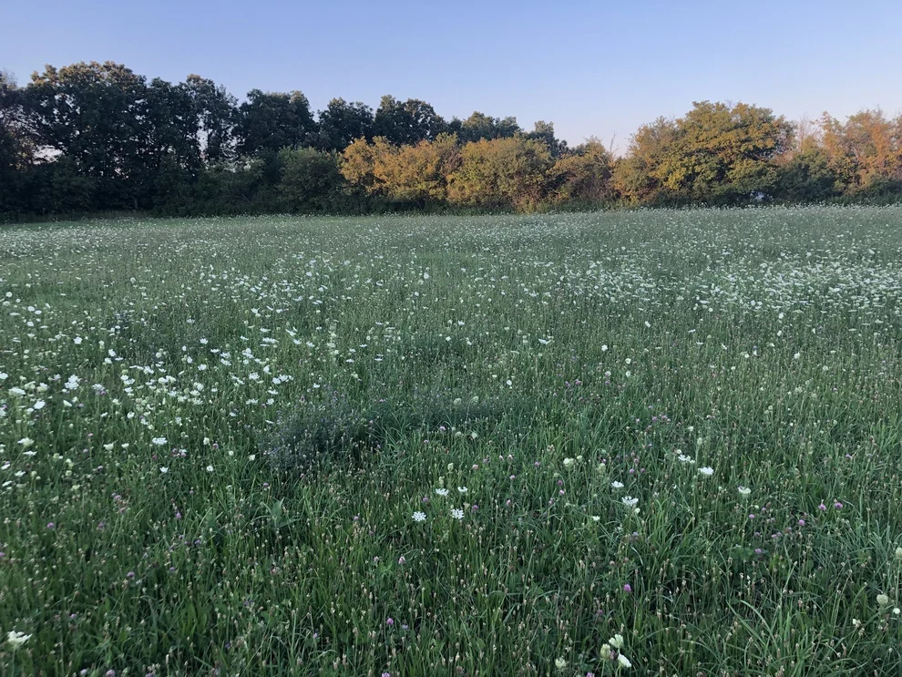 Unit for sale at 40369 N Belle Foret Drive, Wadsworth, IL 60083