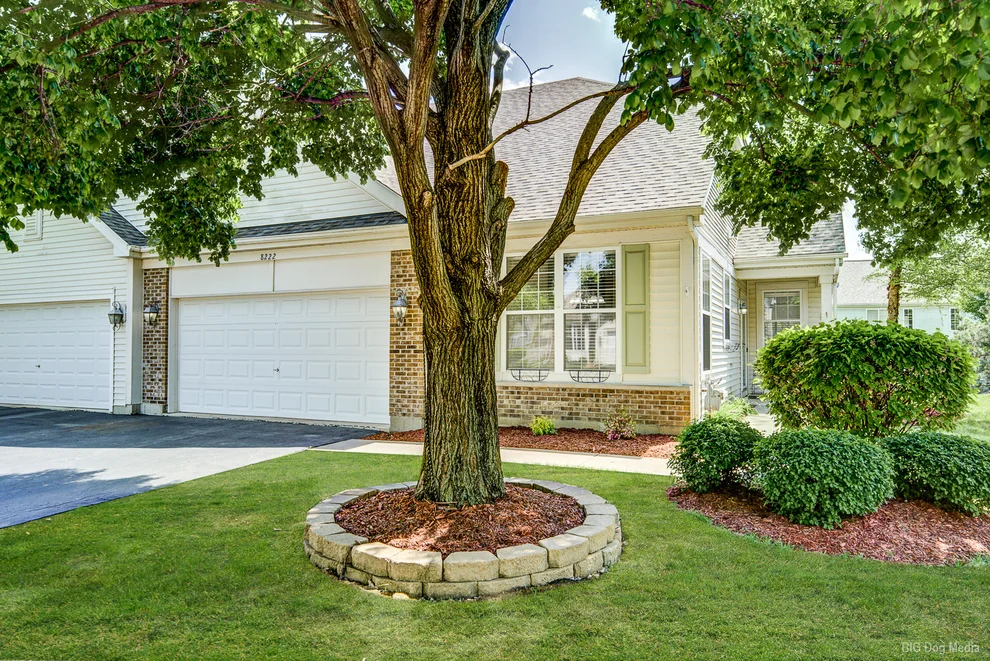 Unit for sale at 8222 Tremont Lane, Joliet, IL 60431
