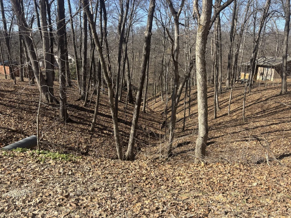 Unit for sale at 1673 Lakeside Court, Varna, IL 61375