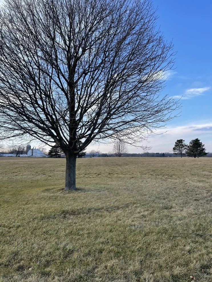 Unit for sale at 17408 Wildflower Circle, Union, IL 60180
