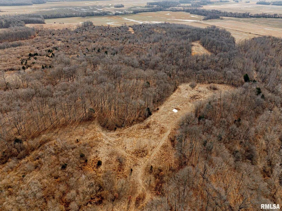 Unit for sale at 000 Propes Road, Iuka, IL 62849
