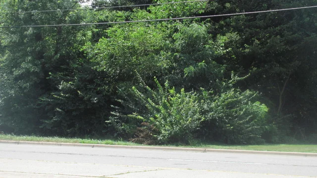 Unit for sale at 000 Main Street, Lisle, IL 60532