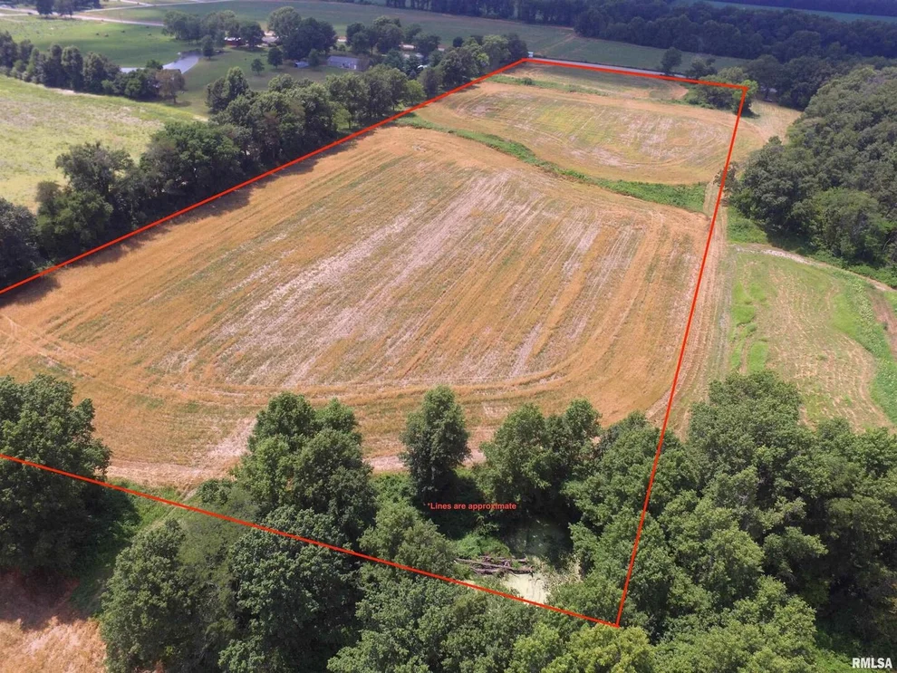 Unit for sale at 00 State Route 37 Highway, Kell, IL 62853