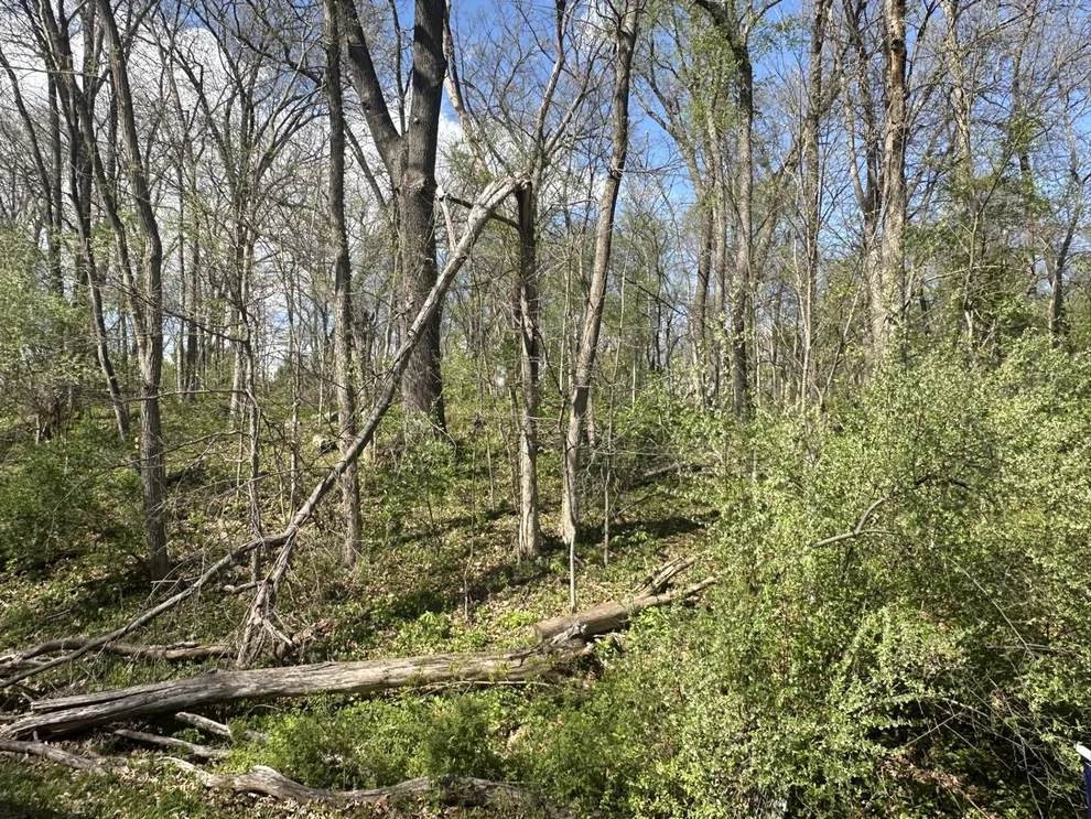 Unit for sale at 0 Lake Thunderbird Hills, Putnam, IL 61560