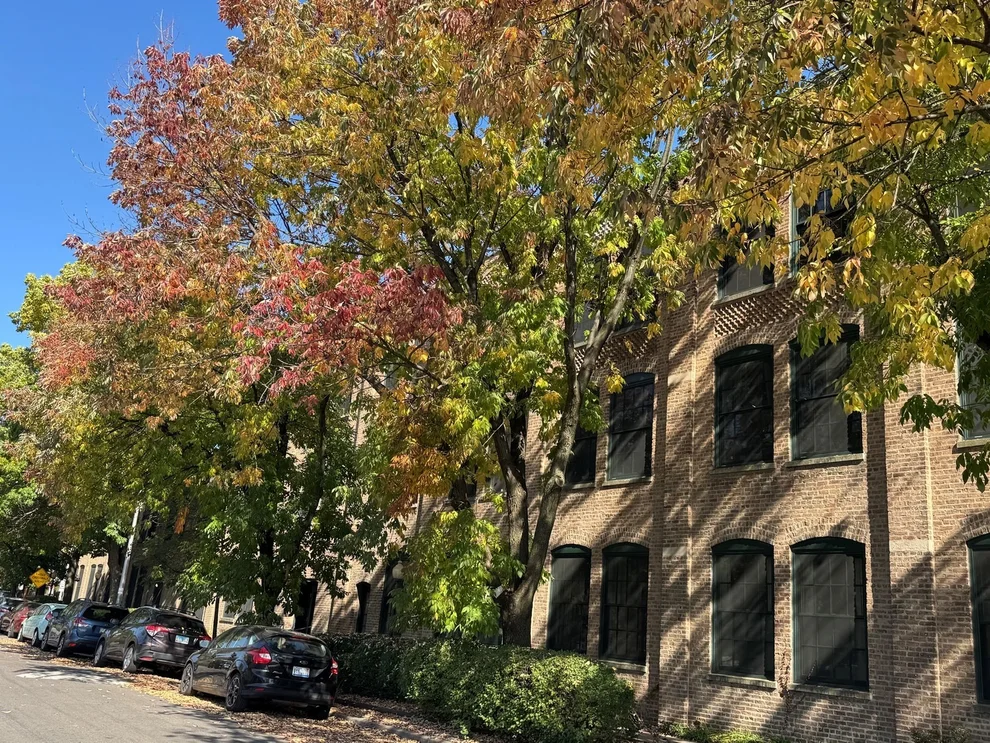 Unit for sale at 5235 N Ravenswood Avenue, Chicago, IL 60640